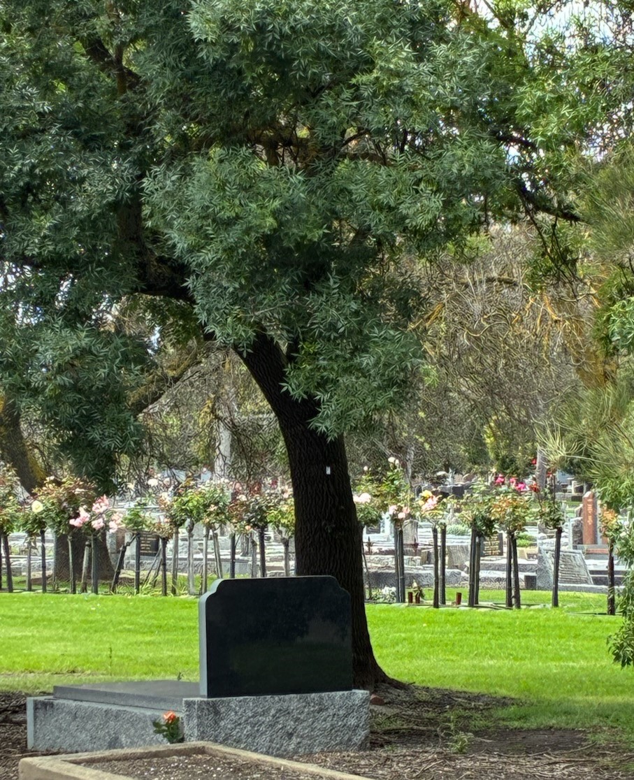 Headstone DNA story by Rebecca Spiers